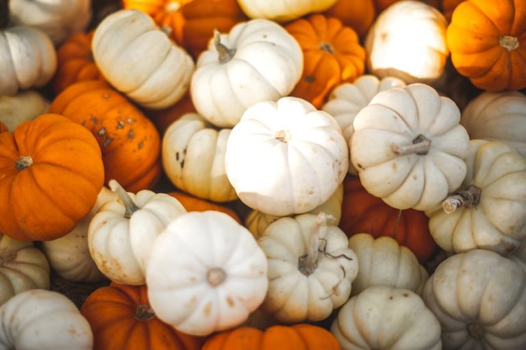 25+ Fall Bucket List Ideas for Families
