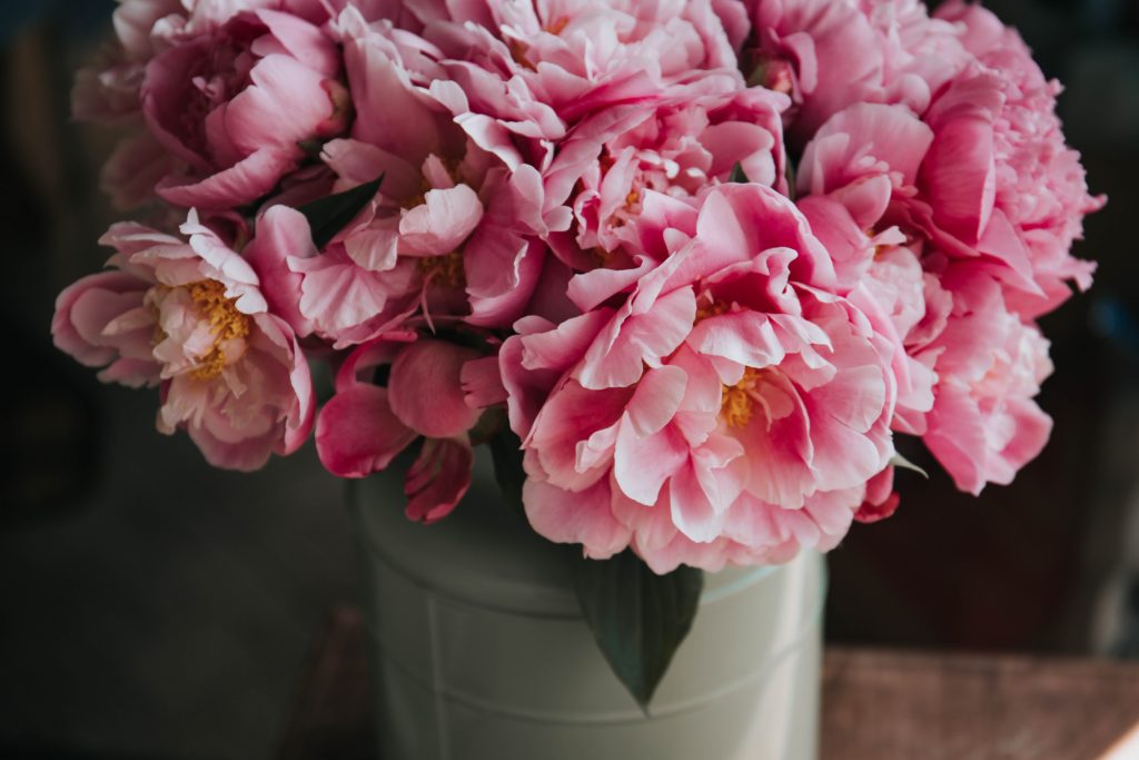 Boquet of pink peonies