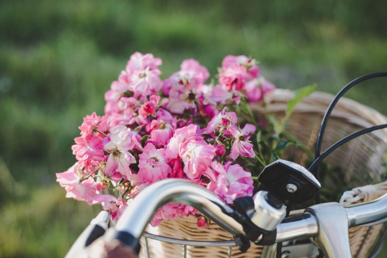 Spring Bucket List Ideas for Kids